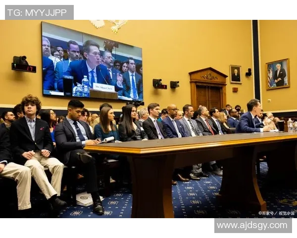 深入探讨上海街舞队的团队配合与表现分析研究