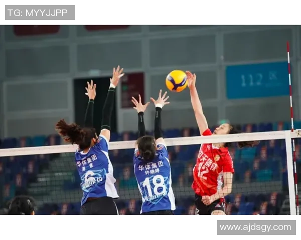 杭州排球队默契配合的关键因素与战术分析探讨